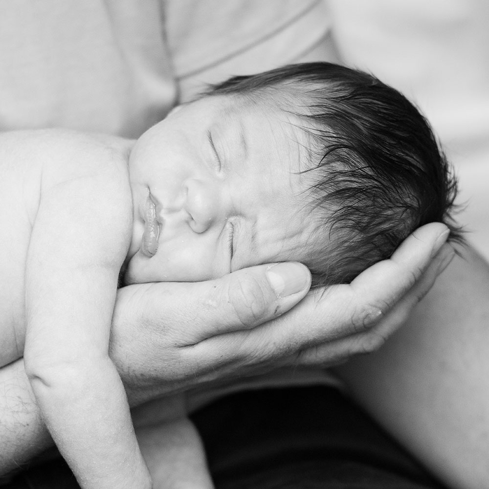 portrait eines süßen knautschgesichts aus papas hand
